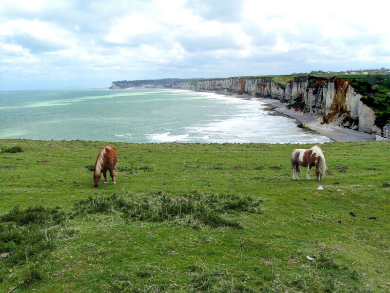 La Ferme