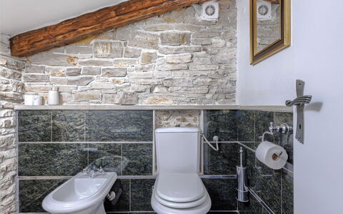Golden Roots: Parete, Idraulico Fixture, Toilet Seat, Bagno, Rubinetto, Interior Design, Pavimentazione, Idraulico, Piastrella, Lavello