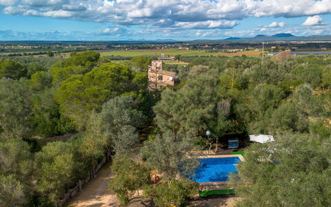 Sa Torreta: Albero, Natura, Ambiente Naturale, Vegetazione, Paesaggio, Area Rurale, Estate, Piantagione, Fotografia Aerea, Visione Globale