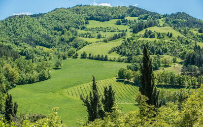 Torre Fantini – Historic Country House with Privat