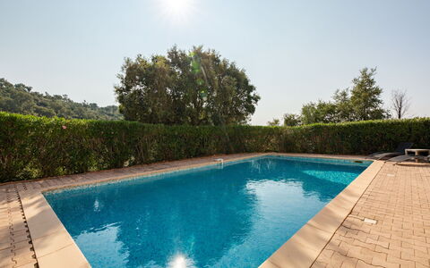 Le Green: Casa, Villetta, Estate, Landscaping, Larice, Agriturismo, Balcone, Paesino Di Montagna