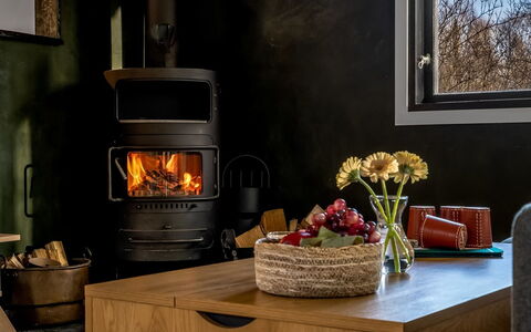 Dreng - from the Sea: Mobilia, Elettrodomestico Da Cucina, Focolare, Stufa A Legna, Calore, Elettrodomestico, Color Legno, Soggiorno, Camino, Latifoglie