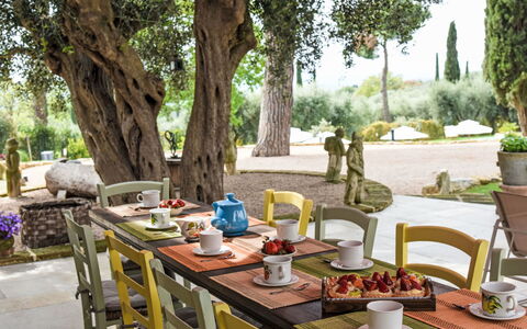Caduceo: Mobilia, Tavolo, Sedia, Mobili Da Esterno, Cucina & Sala Da Pranzo Tavolo, Interior Design, Tavolo Esterno, Tavola, Ristorante, Sala Da Pranzo