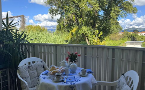 Liz: Mobilia, Sedia, Tavolo Esterno, Mobili Da Esterno, Balcone, Shade, Serveware, Tovaglia, Cucina & Sala Da Pranzo Tavolo, Cortile
