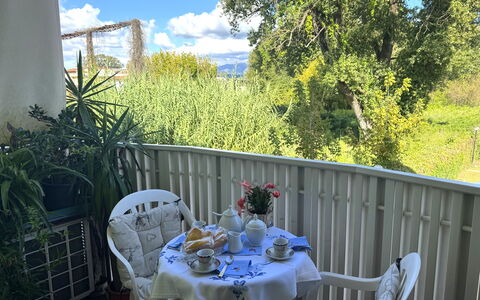 Liz: Mobilia, Sedia, Mobili Da Esterno, Tavolo, Tavolo Esterno, Balcone, Portico, Shade, Backyard, Cucina & Sala Da Pranzo Tavolo