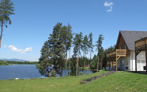 Lakeside Village 39: Albero, Banca, Lago, Serbatoio, Villetta, Lago, Larice, Landscaping