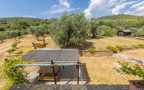Campiglia Marittima 649: Paesaggio, Area Rurale, Lotto
