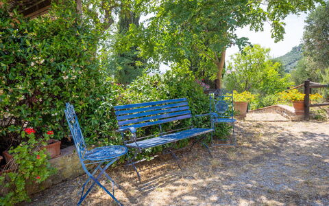Campiglia Marittima 649: Blu, Panchina, Mobilia, Mobili Da Esterno, Banco, Giardino, Groundcover, Shade, Parco
