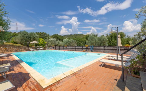 Campiglia Marittima 649: Piscina, Ricorrere, Eco Hotel, Giochi D'Acqua, Resort Citta ', Hotel, Terme, Mobili Da Esterno, Reflecting Pool