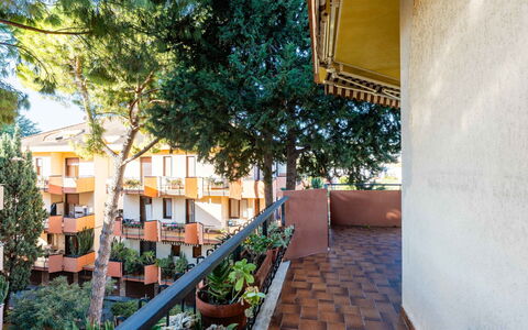 Margarita: Legna, Mare, Oceano, Costiera E Morfologie Oceanic, Costa, Riva, Ricorrere, Balcone, Latifoglie, Shade