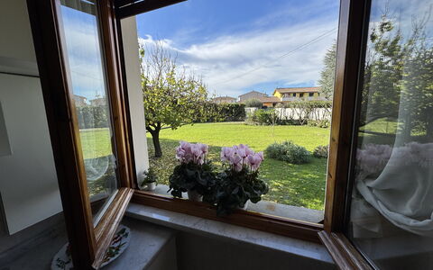 Villa Lory: Giardino, Vaso Di Fiori, Pianta Della Casa, Landscaping, Cortile, Illuminazione Diurna, Balcone, Backyard, Fiorai