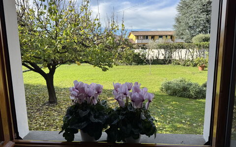 Villa Lory: Fiore, Petalo, Vaso Di Fiori, Primavera, Giardino, Fiorai, Pianta Della Casa, Tulipano