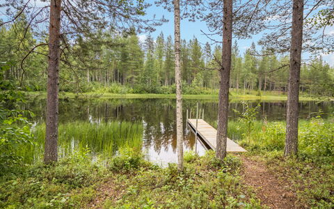 Jolmankoski: Paesaggio Naturale, Foresta, Banca, Comunita 'Impianto, Natura Selvaggia, Woodland, Boschetto, Riserva Naturale