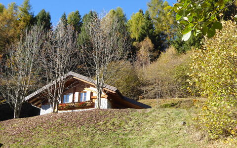 Chalet Genzianella: Erba, Albero, Legna, Casa, Tetto, Villetta, Architettura, Area Rurale, Arbusto, Casa
