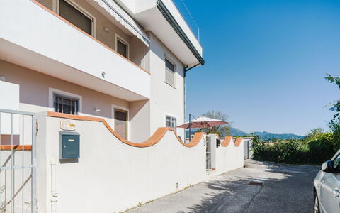Sunflower 2: Paesaggio, Visione Globale, Fotografia Aerea, Costa, Baia, Tropici, Resort Citta '