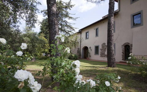 Relais de Ricci: Arbusto, Estate, Giardino, Hacienda, Driveway, Landscaping, Cortile, Cortile, Passerella, Backyard
