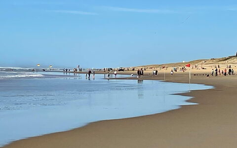 Chasseur: Spiaggia, Corpo D'Acqua, Ambiente Naturale, Costa, Riva, Mare, Orizzonte, Sabbia, Costiera E Morfologie Oceanic