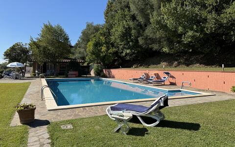 Casa Mia: Piscina, Ricorrere, Mobili Da Esterno, Giardino, Eco Hotel, Hacienda, Estate, Tempo Libero, Backyard, Landscaping