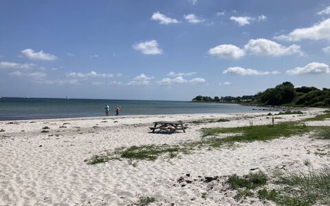 Rikulf - 150M from the Sea: Ambiente Naturale, Spiaggia, Costa, Costiera E Morfologie Oceanic, Riva, Estate, Mare, Sabbia, Oceano, Wind Wave