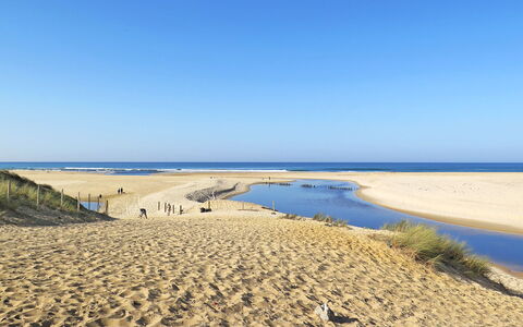 Villa Dune: Ambiente Naturale, Spiaggia, Sabbia, Costa, Orizzonte, Riva, Costiera E Morfologie Oceanic, Ecoregione, Mare