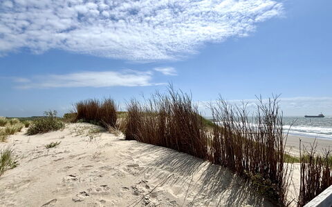 Beach House Bruinisse: Ambiente Naturale, Orizzonte, Ecoregione, Sabbia, Spiaggia, Costa, Costiera E Morfologie Oceanic, Riva, Mare, Oceano