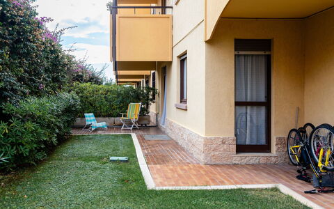 Dream House: Prato, Giardino, Cortile, Shade, Landscaping, Backyard, Passerella, Cortile, Driveway, Hacienda