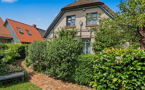 Reetgedecktes Ferienhaus Seelchen: Verde, Parete, Arbusto, Casa, Zona Residenziale, Giardino, Casa, Hedge, Groundcover