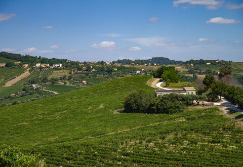 Zena Apartment: Verde, Agricoltura, Campo, Piantagione, Area Rurale, Plain, Pascolo, Paesaggio, Lotto