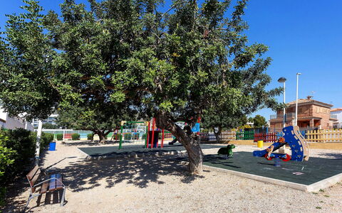 Valenciano: Cielo, Pianta, Urban Design, Shade, Tempo Libero, Albero, Manto Stradale, Asfalto, Paesaggio, Sempreverde