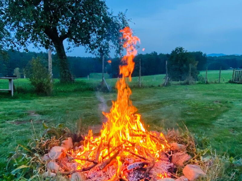 Kellerstöckl am Veganen Bio-Lebenshof - Varm - the