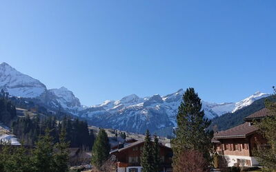 Chalet Wittebärg
