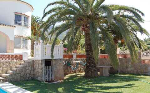 Casa Pia: Albero, Palma, Proprietà, Arecales, Dattero, Architettura, Casa, Pianta, Costruzione, Woody Impianto