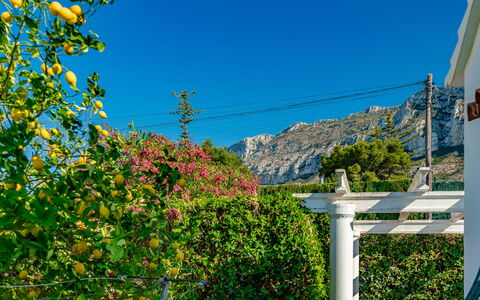 Casa Pia: Cielo, Fiore, Pianta, Foglia, Azzurro, Vegetazione, Biome, Paesaggio Naturale, Woody Impianto, Pendenza
