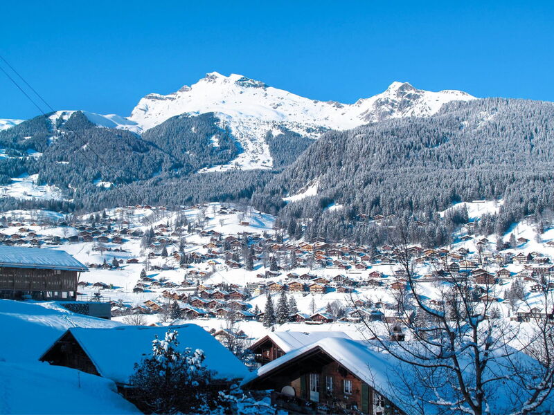 Apartment Alpenblume