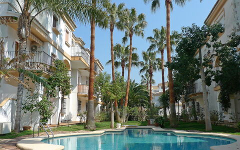 El Patio: Acqua, Pianta, Costruzione, Proprietà, Cielo, Albero, Finestra, Piscina, Arecales, Zona Residenziale
