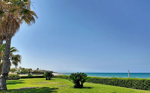 Mimosa i: Cielo, Blu, Verde, Corpo D'Acqua, Vegetazione, Costa, Mare, Estate, Costiera E Morfologie Oceanic, Spiaggia