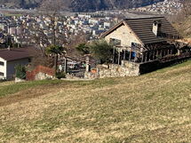 Rustico Motto della Capra