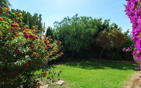 Tesoro Park: Giardino, Fiore, Natura, Vegetazione, Pianta, Albero, Giardino Botanico, Botanica, Erba, Primavera