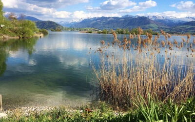 3-Zimmer Ferienwohnung Rapperswil am Zürichsee