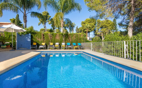 Eucaliptus: Acqua, Pianta, Cielo, Piscina, Proprietà, Azzurro, Albero, Shade, Sedia, Mobili Da Esterno