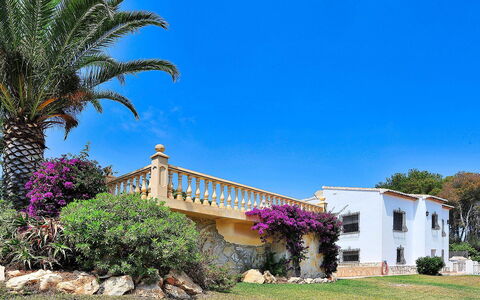 Lucie: Proprietà, Casa, Cielo, Albero, Palma, Costruzione, Hacienda, Turismo, Arecales, Casa