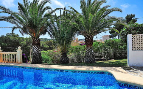 Lucie: Piscina, Proprietà, Ricorrere, Albero, Palma, Immobiliare, Blu Majorelle, Vacanza, Arecales, Tempo Libero