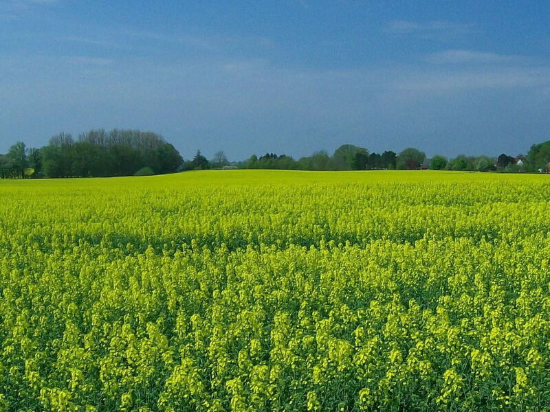 Ländliche Ferienwohnung in Beliebtem Gästehaus