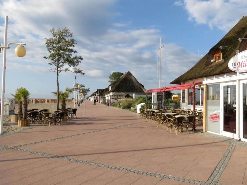 Körner Kornhof 5C
