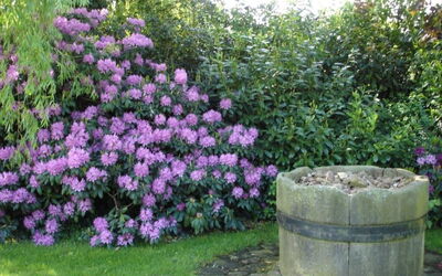 Großzügiges Haus mit Traumhafter Gartenanlage