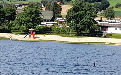 Familienjuwel am Diemelsee