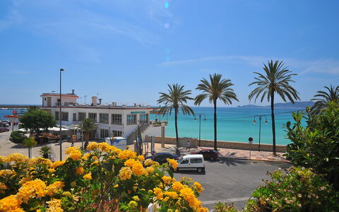 Atarazanas: Cielo, Fiore, Acqua, Pianta, Nube, Giorno, Albero, Street Luce, Vegetazione, Arecales