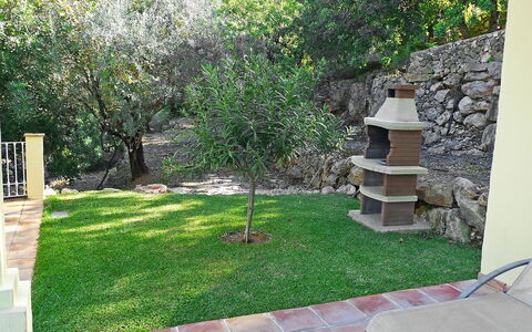 Eretat: Proprietà, Cortile, Backyard, Erba, Prato, Giardino, Casa, Parete, Albero, Landscaping