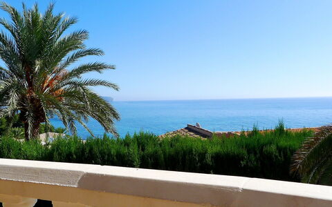 Avalon: Cielo, Proprietà, Giorno, Albero, Azzurro, Palma, Vacanza, Oceano, Mare, Riva