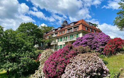 Fewo Natur und Kunst